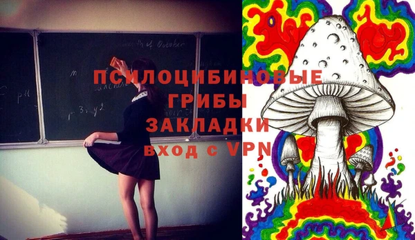 MESCALINE Белокуриха